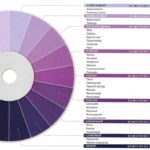 Оттенки фиолетового разной степени "разбавленности"