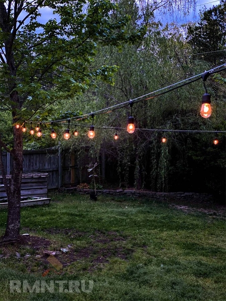 





Идеи использования струнных светильников в ландшафтном дизайне



