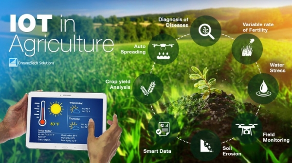Автоматизация, робототехника и Интернет вещей в сельском хозяйстве, технологии умного сельскохозяйственного производства