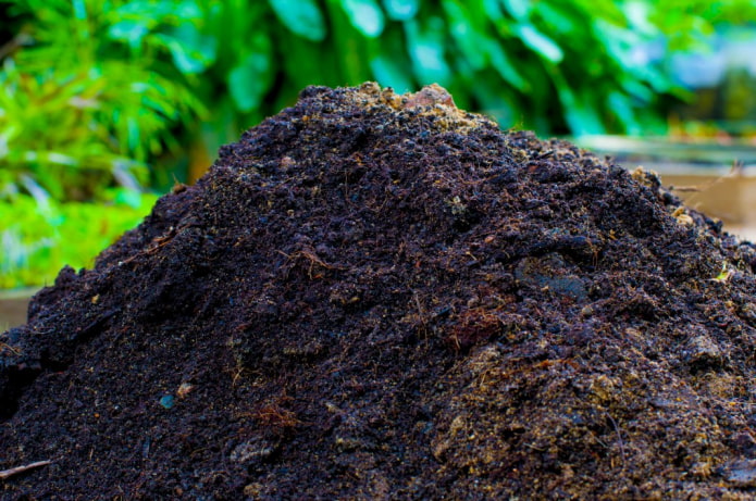 Как улучшить качество почвы?