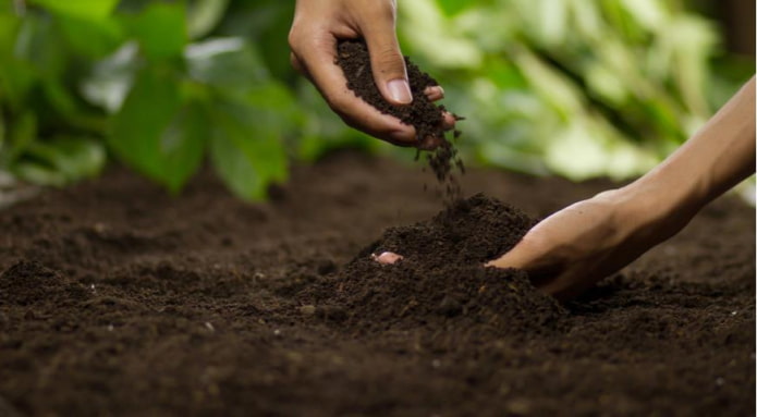 7 самых частых ошибок использования удобрений в саду и огороде, которые допускают многие хозяйки