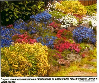 Садовые композиции из красивоцветущих кустарников